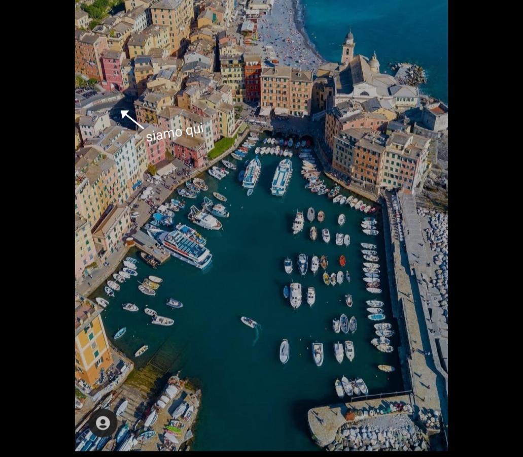 Hotel La Gioia Camogli Exterior foto